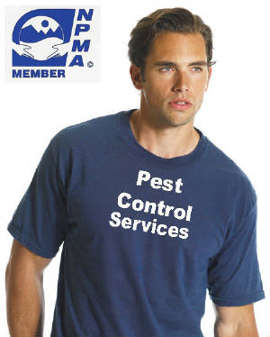 Pest.jpg
